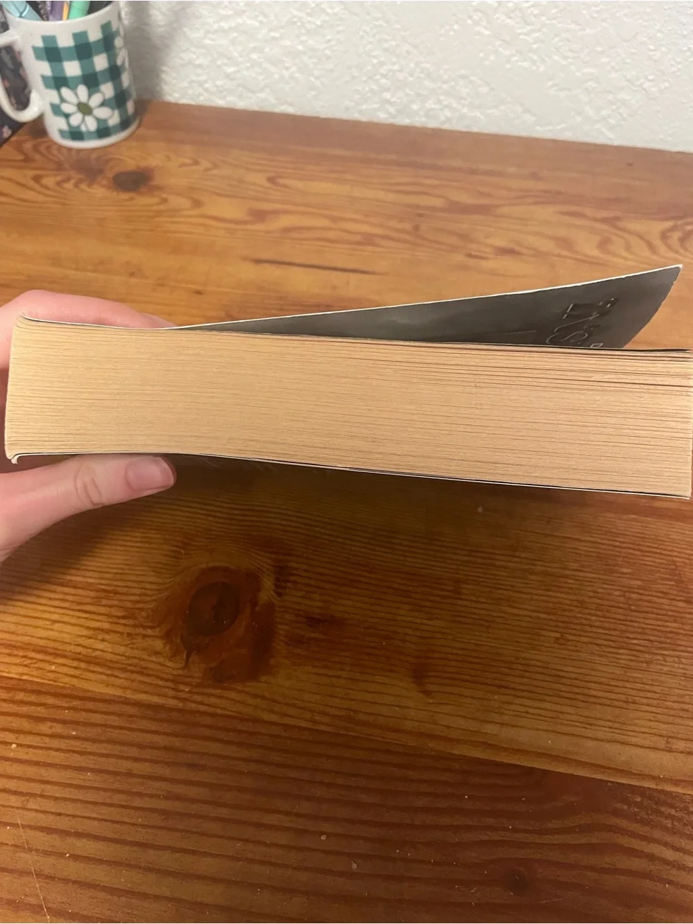 Divergent by Veronica Roth - Blue Cover Paperback